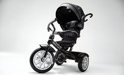 THE BENTLEY STROLLER / TRIKE FEATURED ON D'MARGE.COM