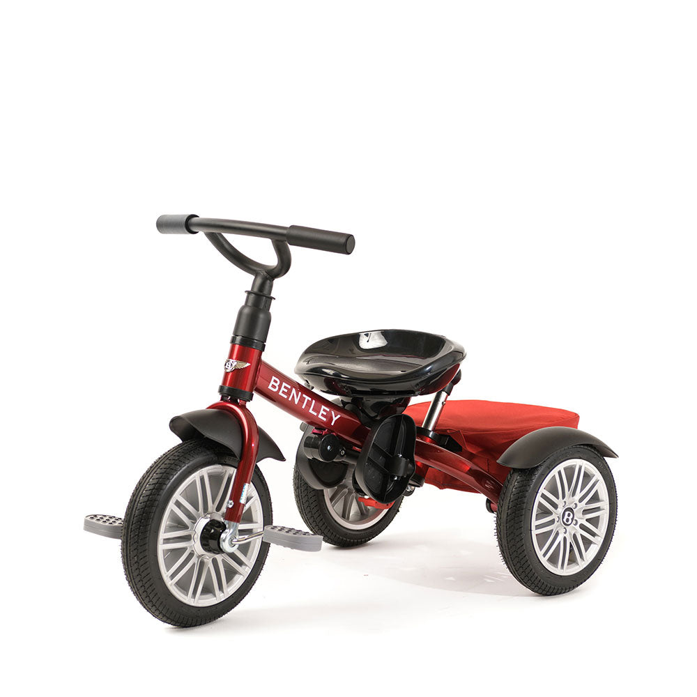 Trike bike stroller discount