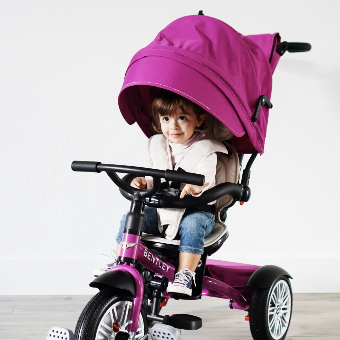 Convertible hotsell tricycle stroller